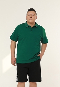 Picture of Plus Size Men Plain Polo Shirt (XL-5XL)