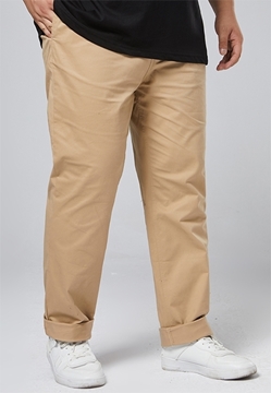Picture of Plus Size Pants with cut and details