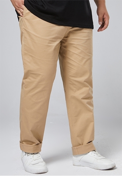 Picture of Plus Size Pants with cut and details