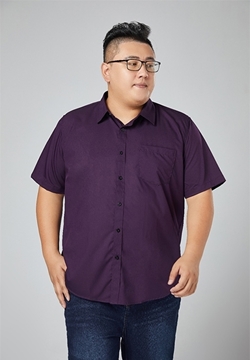 Picture of Plus Size Men Iron Free Short Sleeve Shirt