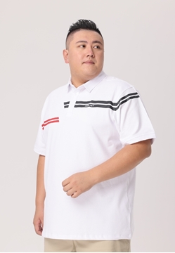 Picture of Plus Size Print Polo
