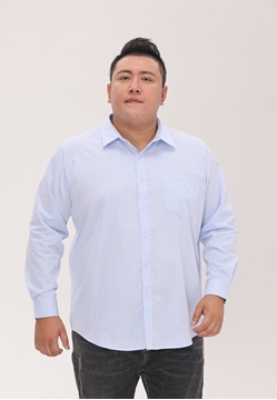 Picture of Jacquard Long Sleeve Men Business Shirt