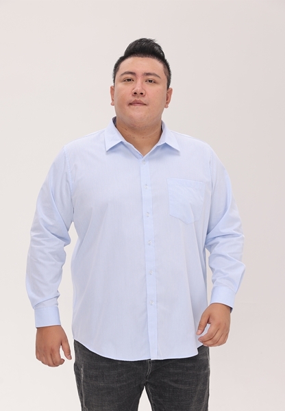 Picture of Jacquard Long Sleeve Men Business Shirt