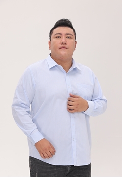 Picture of Jacquard Long Sleeve Men Business Shirt