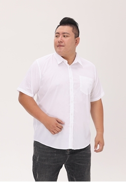 Picture of Men Short Sleeve Jacquard Shirt