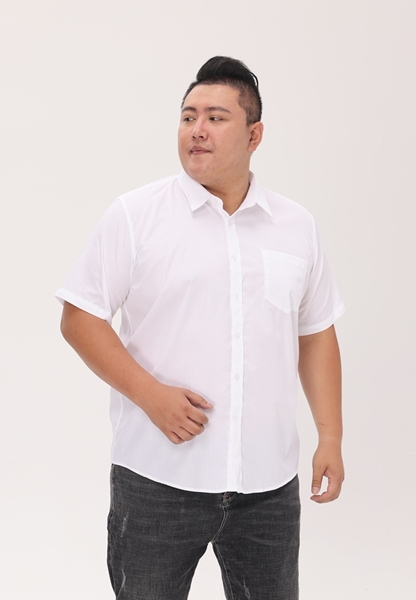 Picture of Men Short Sleeve Jacquard Shirt