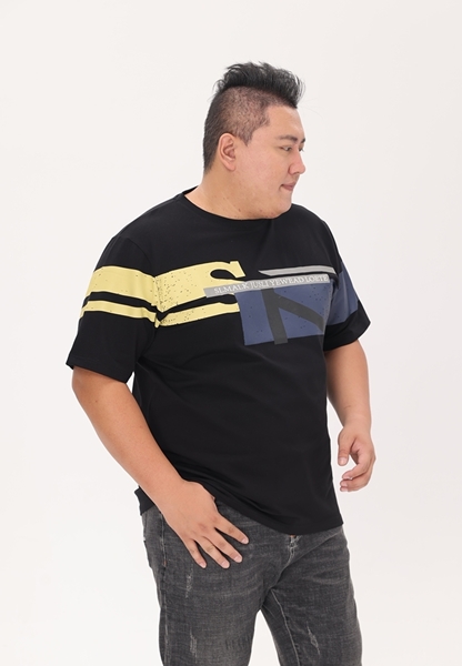 Picture of S K Printed Men T Shirt