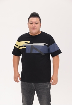 Picture of S K Printed Men T Shirt