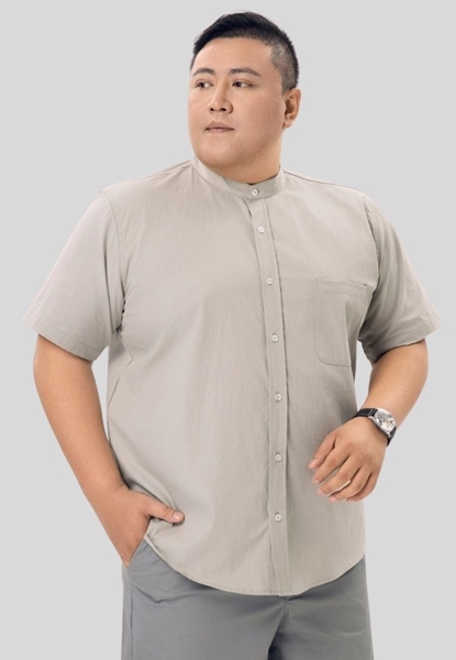 Picture of Mandarin Collar Shirt